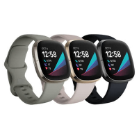 Fitbit Sense 智慧手錶  運動手錶  GPS 血氧偵測  (公司貨)