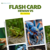 FLASH CARD HEWAN VERSI 5 25 PCS ANIMAL KARTU BELAJAR ANAK FLASHCARD EDUKATIF MAINAN EDUKASI
