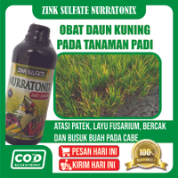 Obat Daun Kuning Pada Padi ZINK NURRATONIX ANTI JAMUR Obat Daun Kuning - Obat Daun Busuk - Obat Daun