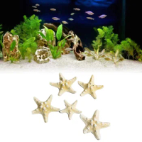 Fish Tank Starfish Decor Unique Beautiful Starfish Ornament Set For Home Aquarium DIY Photo Frame Wind Chime