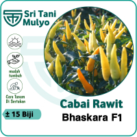 15 BIJI - BENIH BIBIT CABE RAWIT SUPER PEDAS F1 - CABE RAWIT PUTIH - BIBIT SAYURAN BENIH SAYURAN
