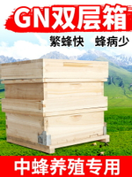 蜂大哥GN蜂箱全套土養蜜蜂箱小型帶巢框雙層杉木峰桶從化式養蜂箱