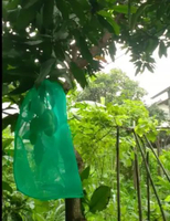 Brongsong Pembungkus Buah Standart Besar - Eceran