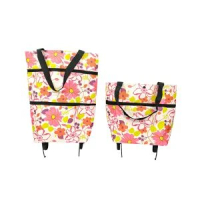 摺疊購物車推薦｜39cm｜13.5cm｜30cm｜折疊購物車｜手拉購物車｜超市購物車｜買菜車｜輕便購物車｜可摺疊手推車｜買菜手拉車｜折疊手拉車｜雙輪購物車【香港行貨】 #NPTB001D7
