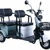 Electric Tricycle For Passenger 1000W electric tricycle Adult Electric Tricycle