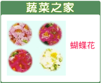 【蔬菜之家】H58.蝴蝶花種子 (共2種包裝可選)