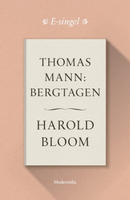 【電子書】Thomas Mann: Bergtagen