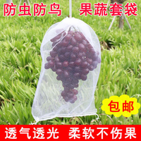 水果葡萄套袋防蟲防鳥白色紗網袋子透氣防果蠅套樹苗枇杷果樹網袋