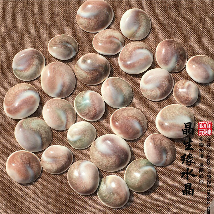 貝化石的價格推薦- 2022年11月| 比價比個夠BigGo