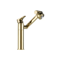 Premium Quality Single Handle Gold SUS304 Stainless Steel 360 rotation 2 Water Bathroom Basin Sink Tap Faucet