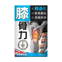 正品藥業 - 正品炎痛消膝骨力 45粒 45粒