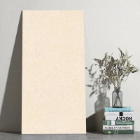 Modern Design 18mm 600x1200mm Square Tiles All Weather Heavy Duty Non-Slip Outdoor Porcelain Refract