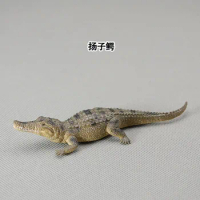 Solid animal model toy alligator Chinese alligator ornaments workmanship favorites! Alligator sinensis