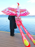 風箏特技風箏成人大人專用高檔雙線運動鳳凰風箏微風易飛長尾大型