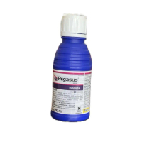 Pegasus 500sc Atasi Kutu kebul,thrips,kutu daun,tugau