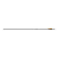 Arrow 24T Pure Carbon Sanlida Dragon series Dragon X8 Spine 480