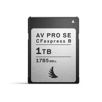 【ANGELBIRD】AV PRO CFexpress SE TYPE B 1TB 記憶卡--公司貨