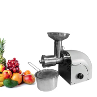 Household Product 250w fruit and vegetable wheatgrass advanced slow juicer