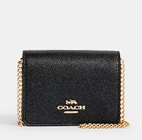 COACH 迷你鏈袋包 Mini Wallet On A Chain