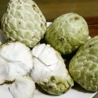 Buah Srikaya Jumbo fresh 1kg