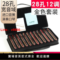 【台灣公司 超低價】德國進口音簧東方鼎24孔/28孔口琴套裝7調12調高級專業演奏級全套