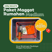 Paket Budidaya Maggot Rumahan Medium | Mengelola Sampah Organik di Rumah | Box Maggot | Maggobox Mur