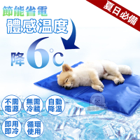 冰墊 L號貓狗冰墊 人寵降溫 筆電散熱 涼墊 寵物冰墊 降溫 散熱 狗窩 貓床 夏季 涼感 寵物用品