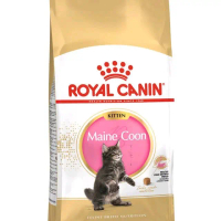 Royal Canin Kitten Maine coon 2kg