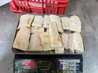 IKAN FILET TENGGIRI / PACK 1KG / IKAN LAUT SEGAR