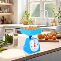1kg 2kg 3kg 5kg MINI Kitchen Balance Precision Weight Scale Spring Digital O0A5