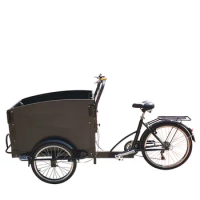 Three Wheels Electric Adult Beach Bike Tricycles Green Energy Sightseeing Car Rickshaws for Bicycle Taxi Services