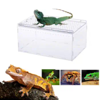 Acrylic Reptile Breeding Box Transparent Panoramic Insect Feeding Box For Snake Spider Lizard Scorpion Centipede