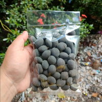asem kranji bangka 100gram asam keranji asam kranji asli bangka dari jojo snack