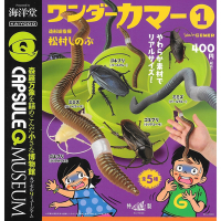 全套5款 日本正版 袖珍博物館 珍奇巨大蟲蟲 P1 扭蛋 轉蛋 巨大蟑螂 蚯蚓 昆蟲模型 海洋堂- 083166