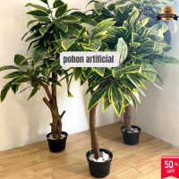 Pohon Beringin Varigata Artificial Aesthetic Sudut Ruangan Pot Plastik Wrapping Biru Tanaman & Buah 