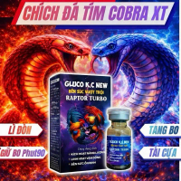 Chích tím COBRA XT tăng lực tổng hợp gà đá