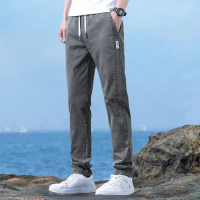 Men's Pants Loose Sport Spring/summer Thin Slim-fit Casual Streetwear Trousers Cargo Pants Men
