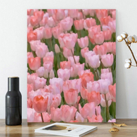 [DD đẹp] Tự làm sơn dầu kỹ thuật số màu làm bằng tay làm đầy vẽ Acrylic cây hoa trang trí phòng khách tranh treo Tulip