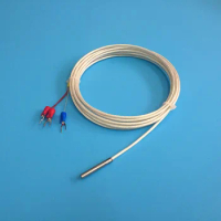 WZP-035 PT100 Probe 4*30mm Cable 0.5-5m Platinum Thermal Resistance WZP RTD Corrosion Waterproof Antiseptic Temperature Sensor
