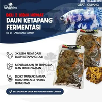 Ketapang Laut Ketapang Olahan Fermentasi Beli 2 Lebih Hemat kombo hemat