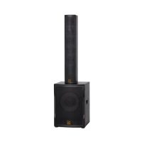 professional audio sound system active+DSP 12 inch subwoofer CV12