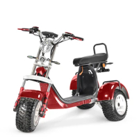 4000w 20ah Lithium Battery eec 10 inch fat tire electric tricycle 3 wheel electric Scooter Cargo Double Motor