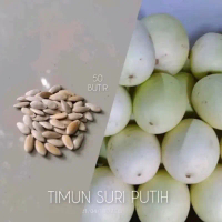 biji benih timun suri putih