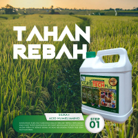 AGROTECH PLUS Organic Based Foliar (Baja Semburan Berasaskan Organik & Kimia) N25 P25 K45 + Silika