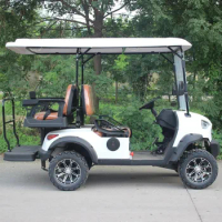 China Factory 2 4 6 Seat 48V Electric Golf Cart with CE Customized Prices Electric Golf Car Off Road Accessories