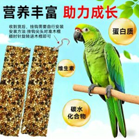 墨魚骨鸚鵡專用大塊補鈣零食小太陽鳥啃咬玩具玄鳳虎皮牡丹磨牙棒