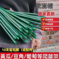 爬藤架 葡萄藤桿 黃瓜支架 豆角爬架 種菜花支架 庭院園藝植物支撐桿 西紅柿架 菜園支架 果蔬支架