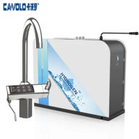 Japan Technology 11 Plate Platinum Coating Kangen Water Machine Under Sink Alkaline Water Ionizer