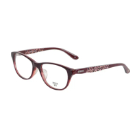 【ANNA SUI 安娜蘇】狂野豹紋魅力造型光學眼鏡-木紋紅(AS608-209)