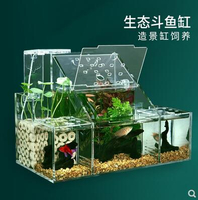 生態鬥魚缸孔雀魚繁殖孵化專用隔離盒循環水過濾創意桌面鬥魚排缸